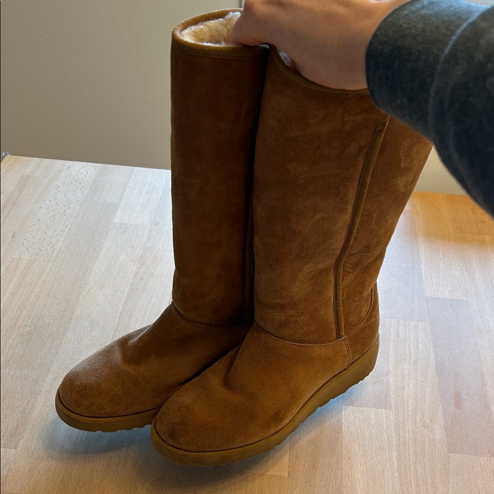UGG Chestnut Suede Winter Boots